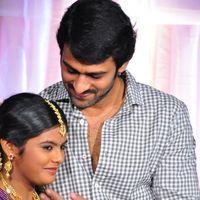 Prabhas - Puri Jagannadh daughter pavithra saree ceremony - Pictures | Picture 119050